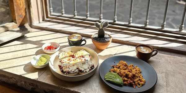 Amapola Café