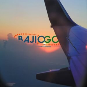 BajioGo Transportation Services