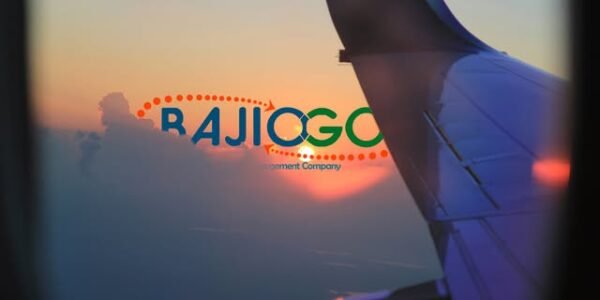 BajioGo Transportation Services