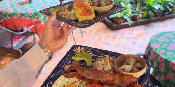 Art Garden Cafe