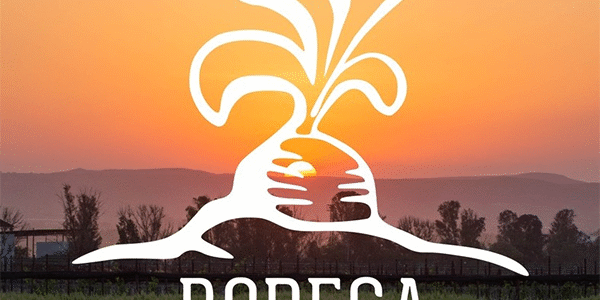 Bodega Organica