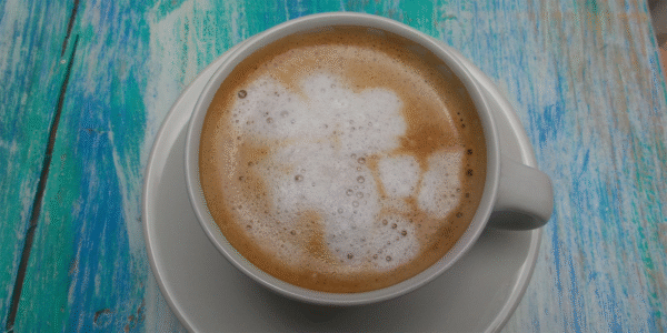 Café Oso Azul