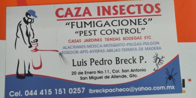 Caza Insectos Fumigation