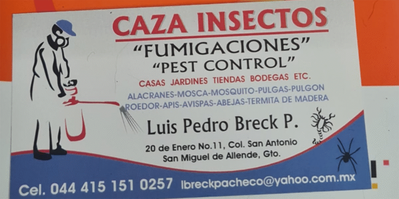Caza Insectos Fumigation