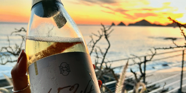 Viñedo Dos Búhos