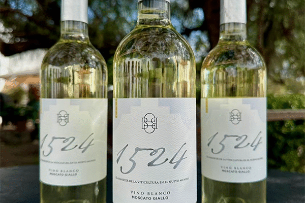 Dos Búhos Bodega