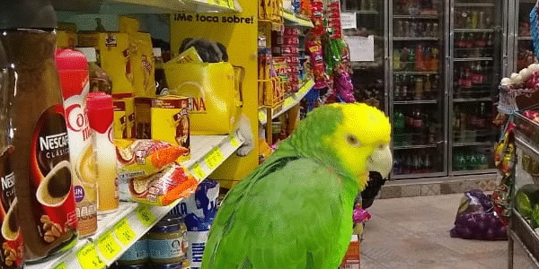 La Tienda de Gil