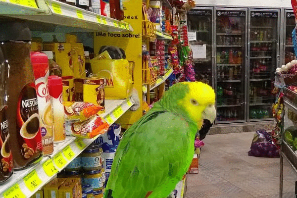 La Tienda de Gil
