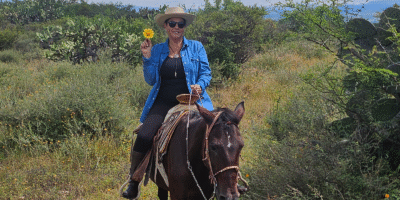 Leisurely Country Horseback Riding