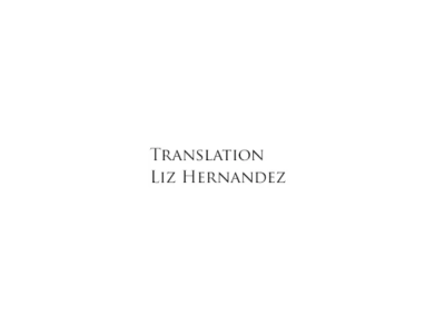 Liz Hernandez Translation