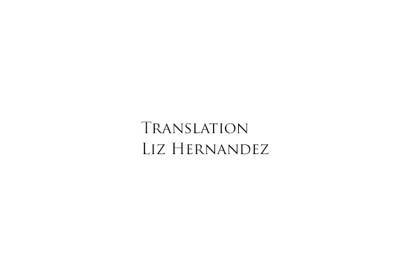 Liz Hernandez Translation