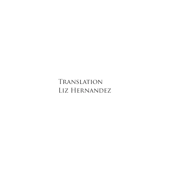 Liz Hernandez Translation