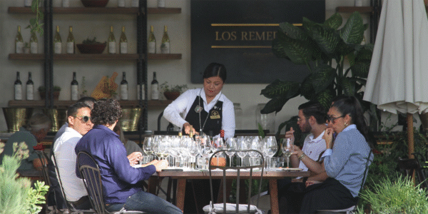 Los Remedios Rancho y Viñedo