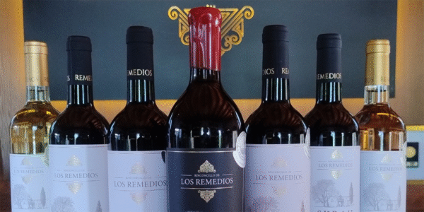 Los Remedios Rancho y Viñedo