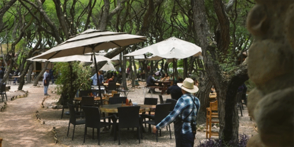 Mama Mia Campestre